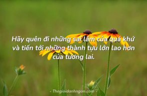 Nguyễn Akera