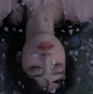 Zelly Nguyễn