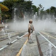 Mai tong hoang