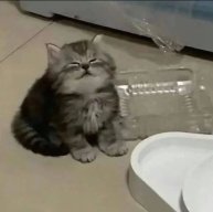 HuynJinnn