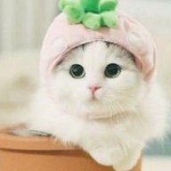 yulia12321