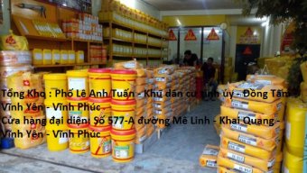 Chongthamvinhphuc.vn