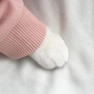 Đường Hảo