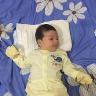 Thomtrinh
