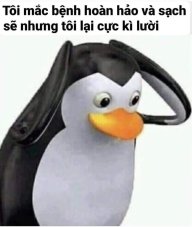 Nhà Thông Thái