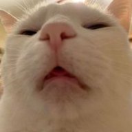 phuongnhattinh