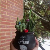 ôn nhu thiện lương