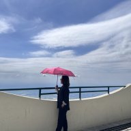 Cánh Hoa Thời Loạn