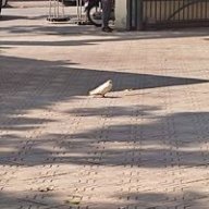 Ví Tiền Rỗng