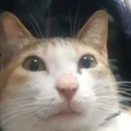 Tình cờ gặp nhau