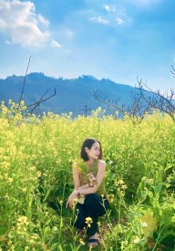 Hoa Linh 8881