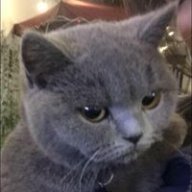 Tienchui