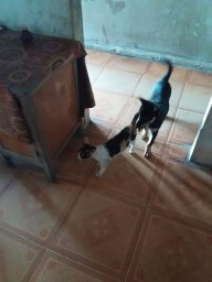 vinhcute7d
