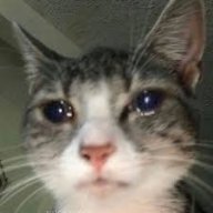 barnhwuwu