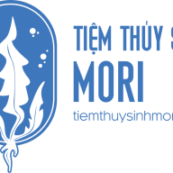 thuysinhmori