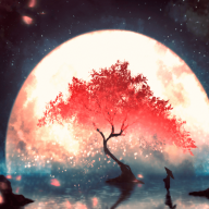 Tinh Nguyệt Hải Niệm