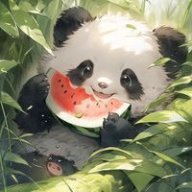 Xiaobaobei