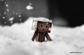 lastwinter
