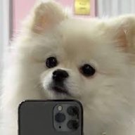 LuuLii