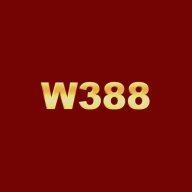 w388cam