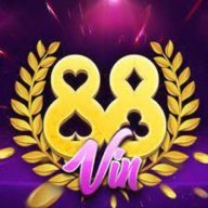 88vin11