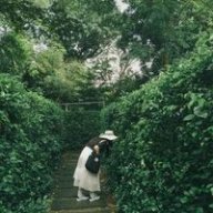 Quả Táo Mất Ngủ