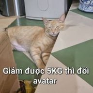 thaomyng00