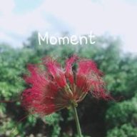 Đntgufdjhcvh