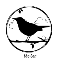 sáo con
