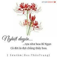 bé ngọc 15