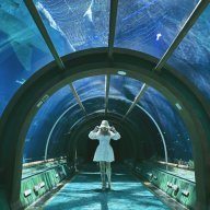 Uyển Đồng Hi Văn