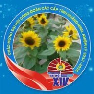 Hướng Dương 90