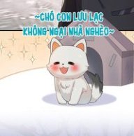 Túngu