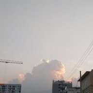 Gà bông loi choi