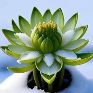 Không Yêu Thì Biến