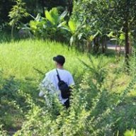 Dạ Vũ Trường Không