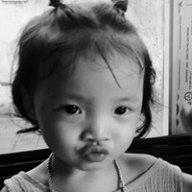 Dochinh