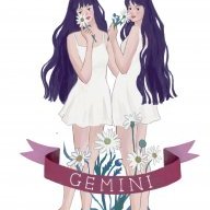 GEMINI