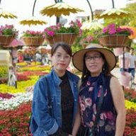 Hoang Anh 23