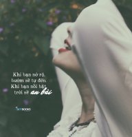 Gấu Ròm