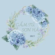 camtungonguyen