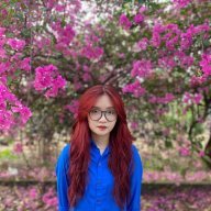 xxnhi