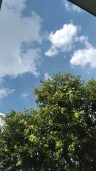 Victo