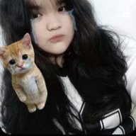Trúc linh16578