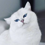 A Miên