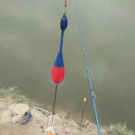 dũngok