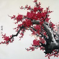 tiểu mê muội oa oa