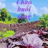 Anh Bình Bình