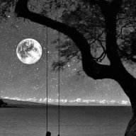 Nguyễn Cẩn Ngôn