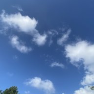 tlrjj